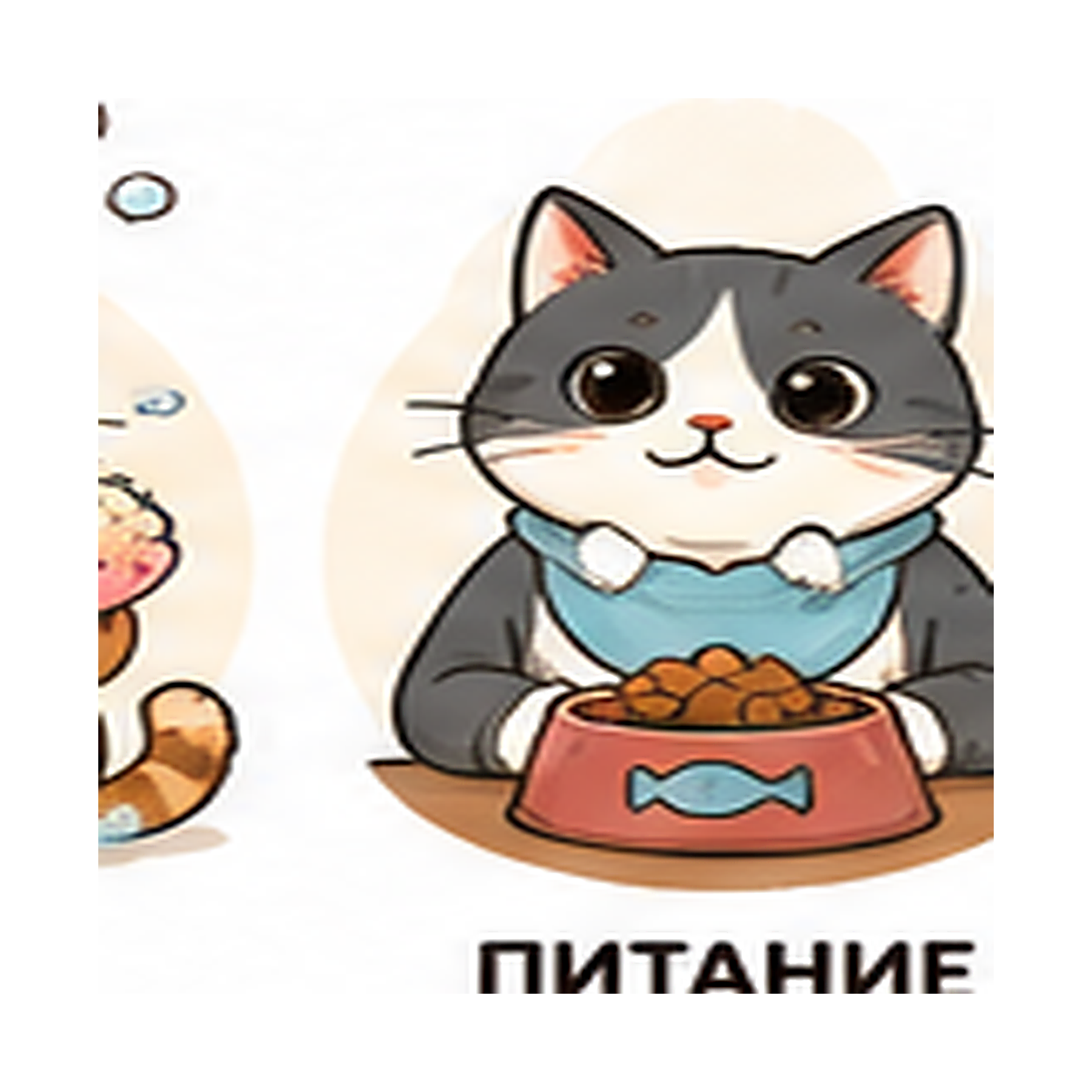 Маскот раздела